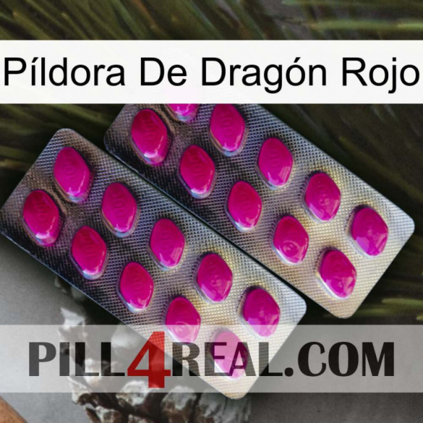 Píldora De Dragón Rojo 10.jpg